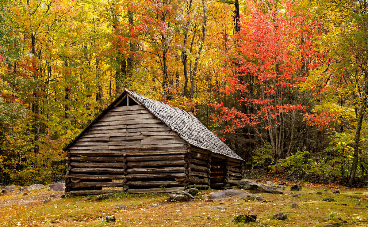 Фото: Bob Pool/Shuterstock/Fotodom