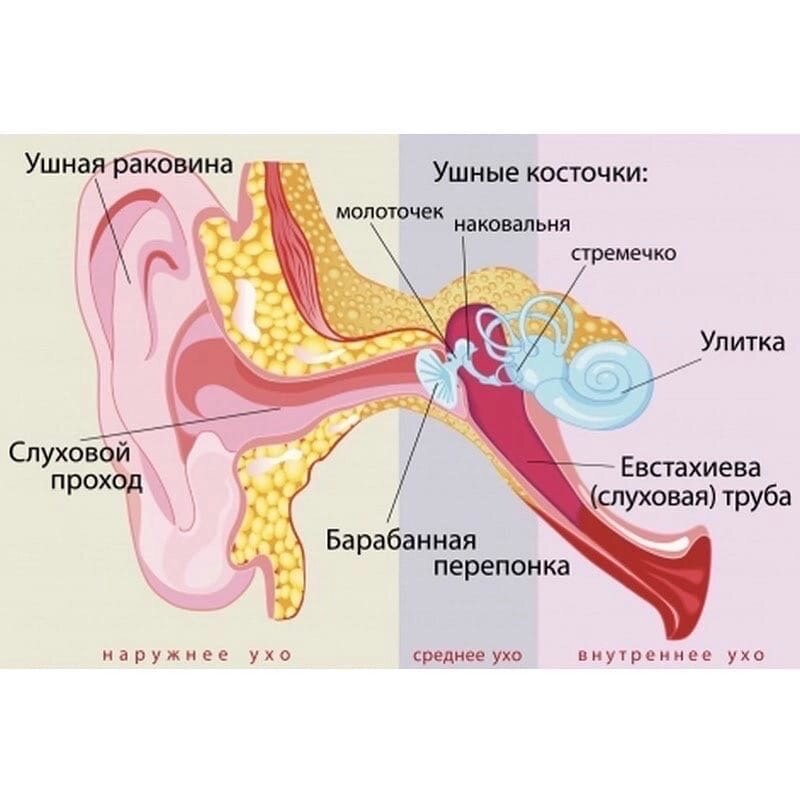 БОЛИТ УХО, ЧТО ДЕЛАТЬ?-2