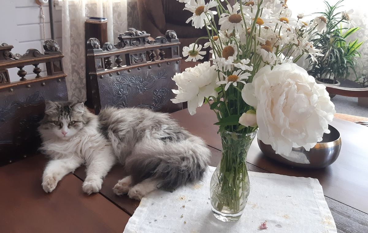 Ну и чего ты тут пришла мешать мне? Читается во взгляде Марыси