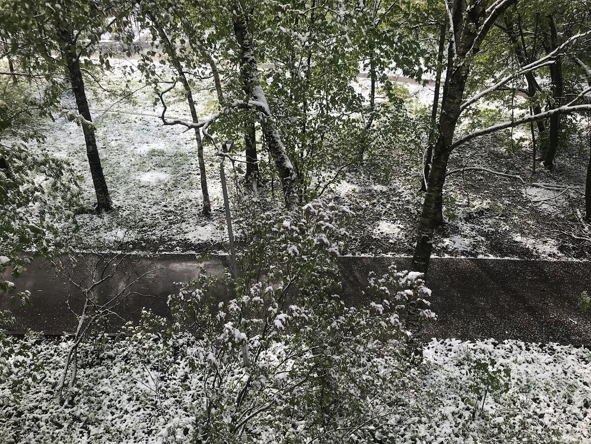 Природа сказала: "Доброе утро, страна!"