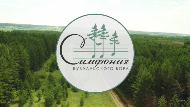    В Бузулукском бору впервые пройдет уникальный фестиваль академической музыки Кристина Просвиркина