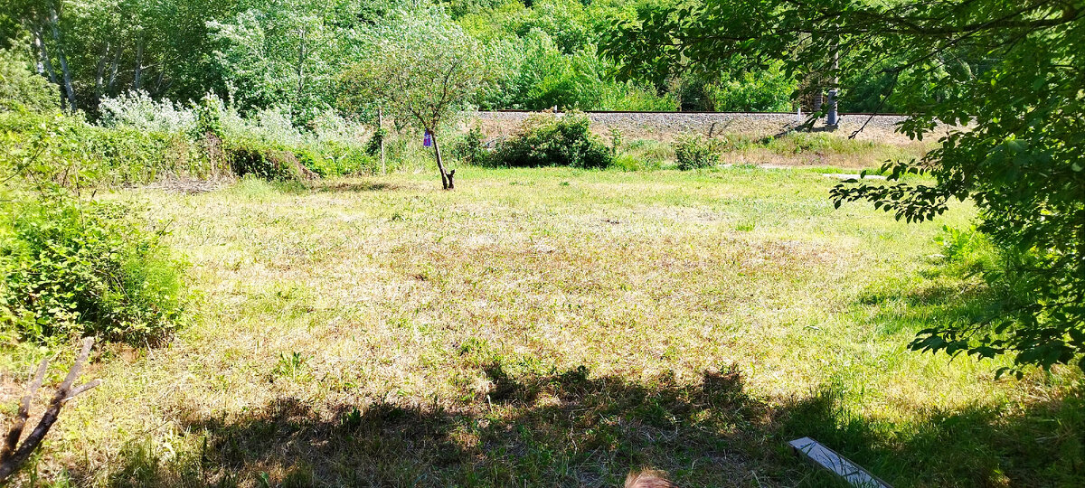 Вычистили участок от сорняков.