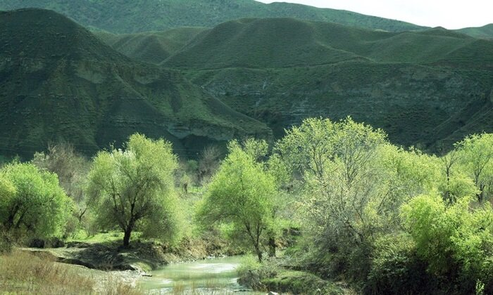 Источник фото: turkmenistan.gov.tm 