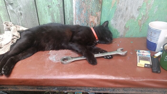 Листайте вправо, чтобы увидеть больше изображений