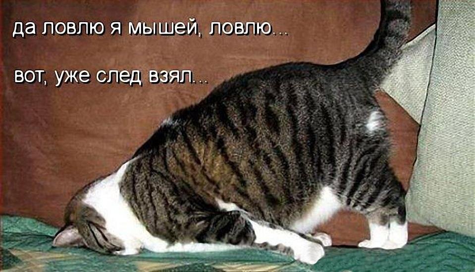 источник Яндекс-картинки