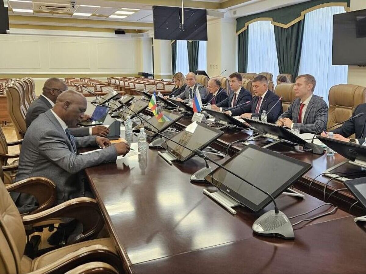    Двусторонняя встреча заместителя министра природных ресурсов и экологии России Дмитрия Тетенькина с министром по крупным работам и стратегическим инвестициям Центральноафриканской Республики (ЦАР) Паскалем Биду Коягбеле© Фото : пресс-служба Минприроды России