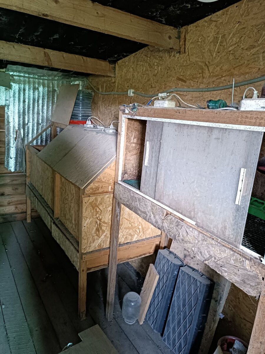 Брудеры в сарае, с другой стороны еще два