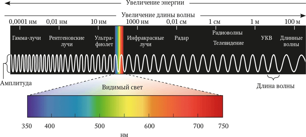 Видимый спектр света находится между инфракрасным излучением и ультрафиолетом.