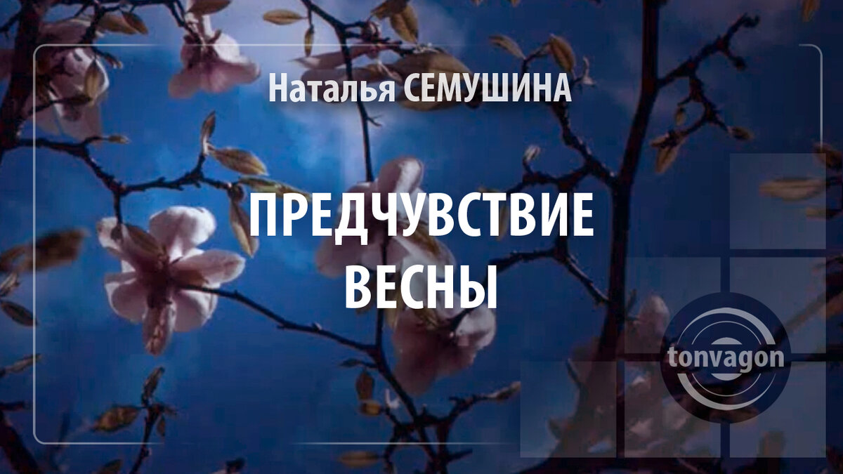 Стихотворение участвовало в конкурсе проекта ТОН-ВАГОН