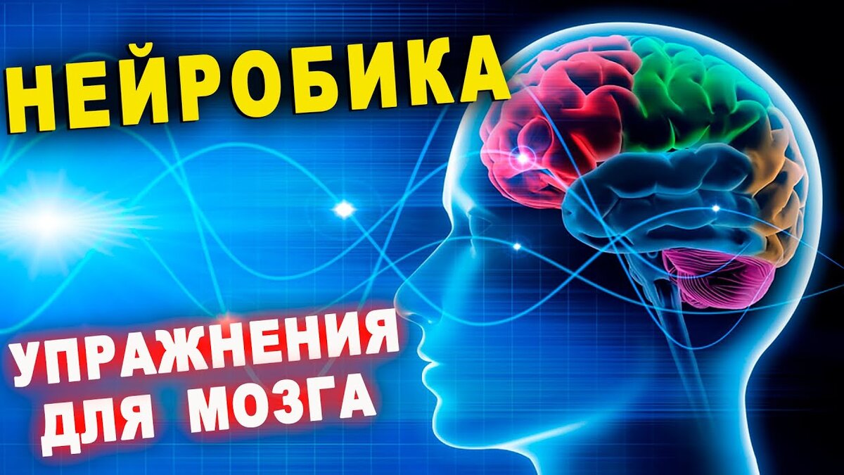 Наши мозги тоже любят зарядку | Про математику и жизнь | Дзен