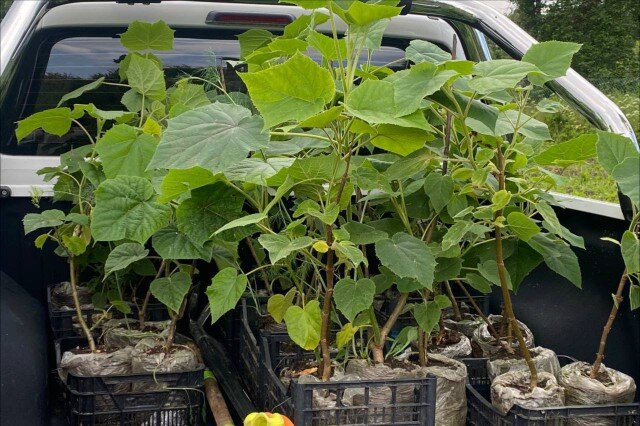   Фото: Людмила Себровская