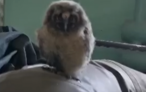    Госкомитет РТ по биоресурсам