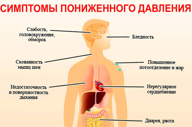 При пониженном давлении, как и при гипертензии, необходима коррекция состояния за счет питания и медикаментов.-2