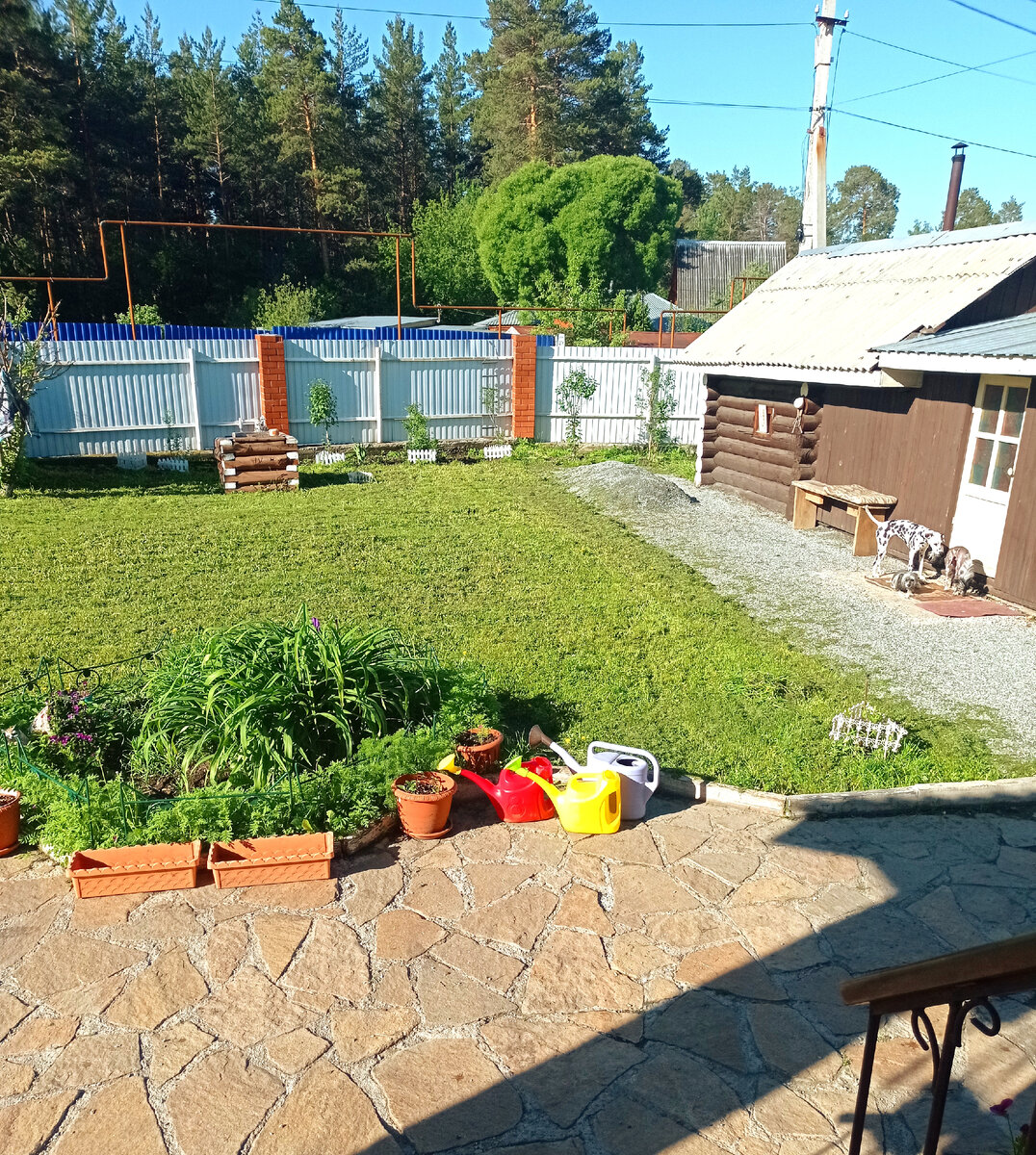 Весь день провела во саду ли в огороде, и бегали собачки... | Дома не  скучно.Загородная жизнь на пенсии. | Дзен