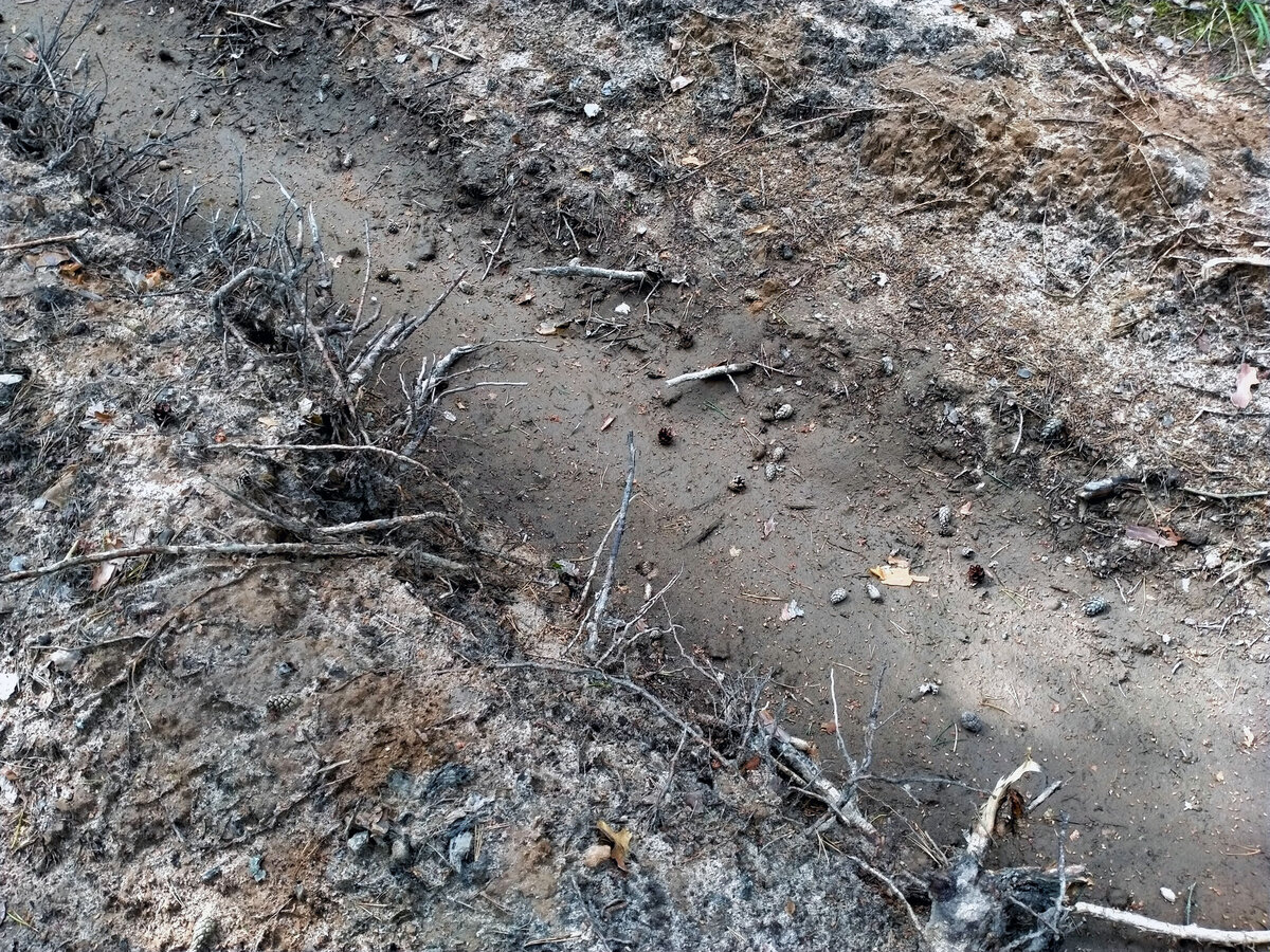 Канавка недавно была заполнена водой