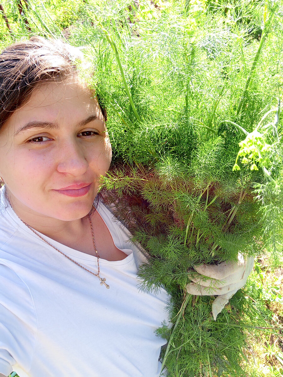 Вот такой большущий вырос укроп 😅