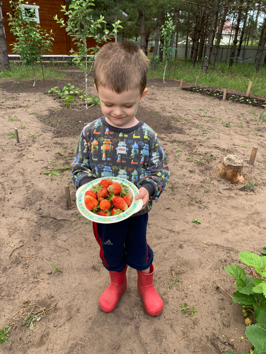 Русланчик собирает урожай