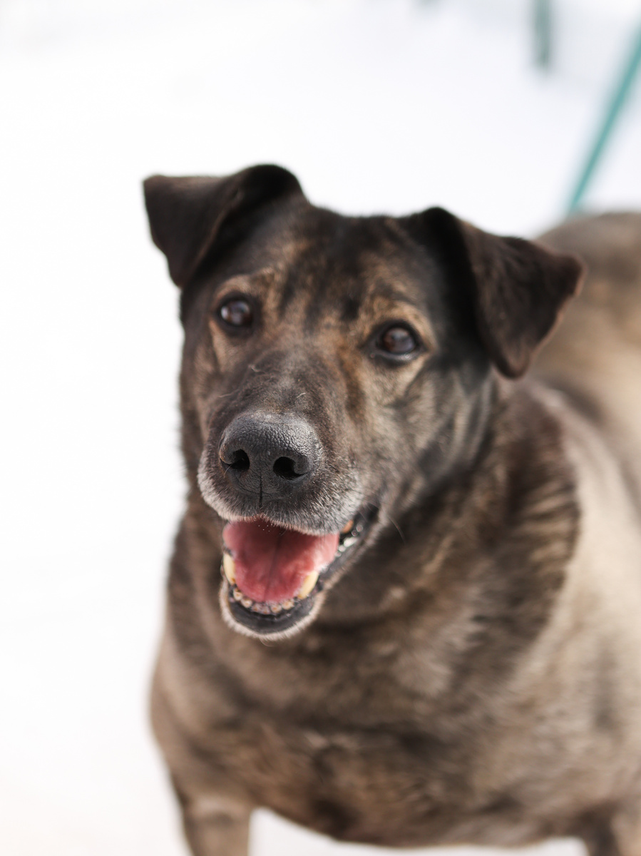 Какой сегодня год? 2024??? Я что уже состарился?