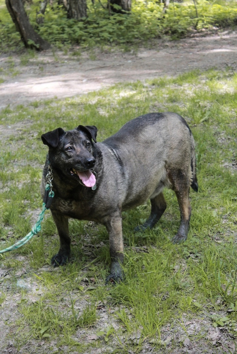 А знаете! Никто не полюбит если меня, то может просто приедет погулять?
