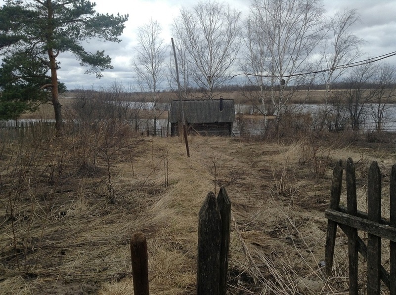 11 лет назад.