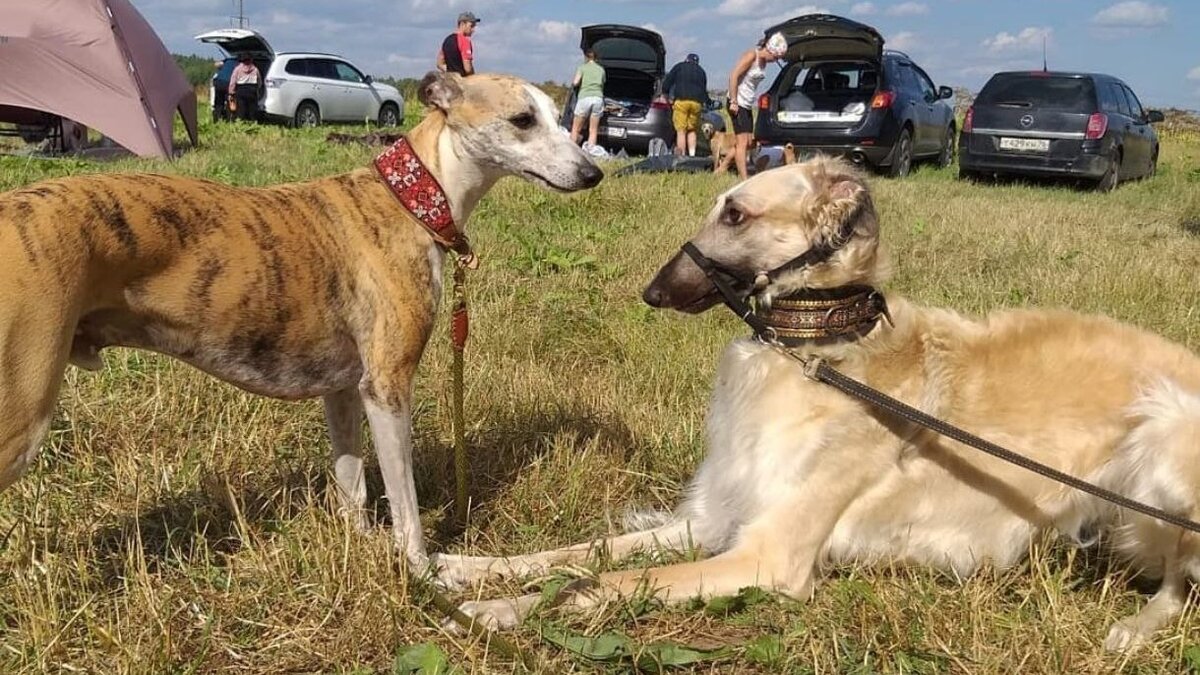 Эвр охотно взаимодействует с этими красавцами и красавицами
