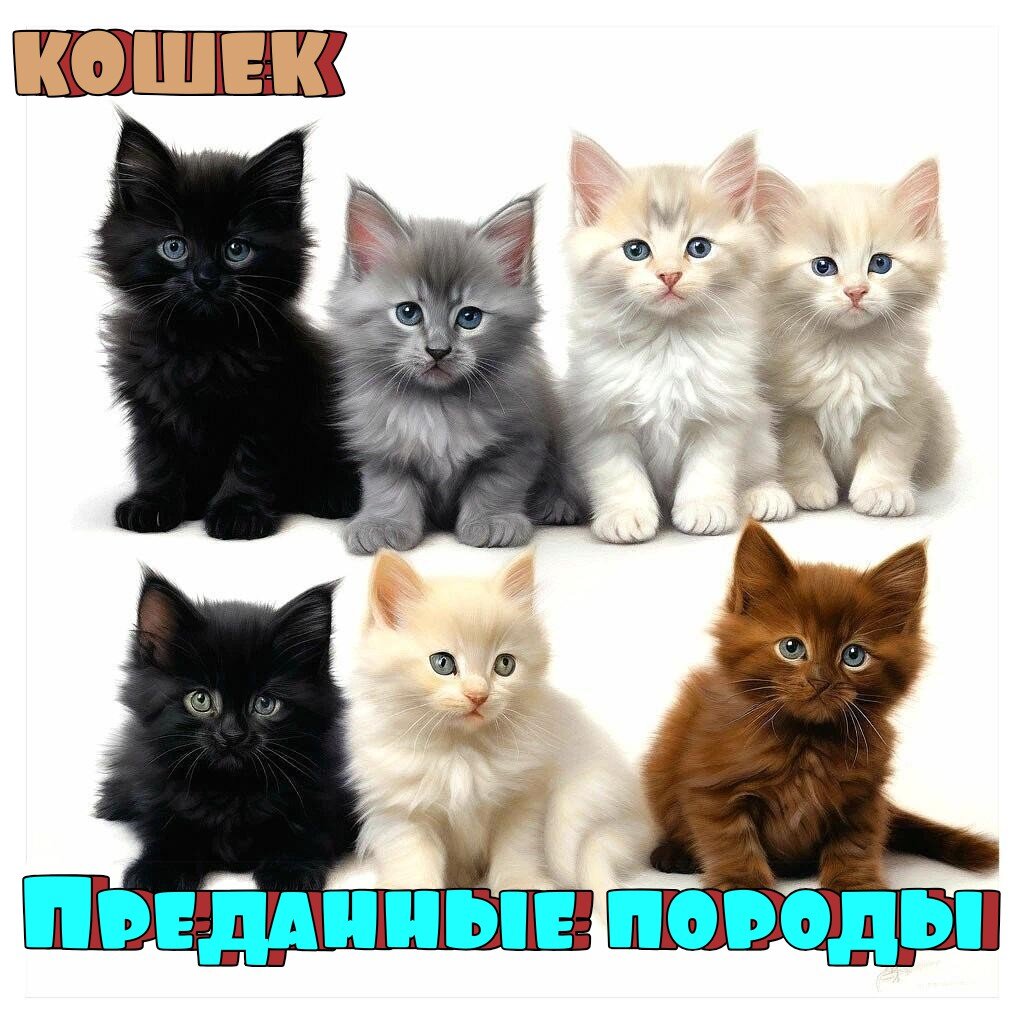 Взято из моего Шедеврум канала 