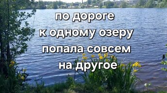 Это оказалось совсем другое озеро. Вышла из леса. о.Белое. Пешком в Введенскую Островную пустынь.