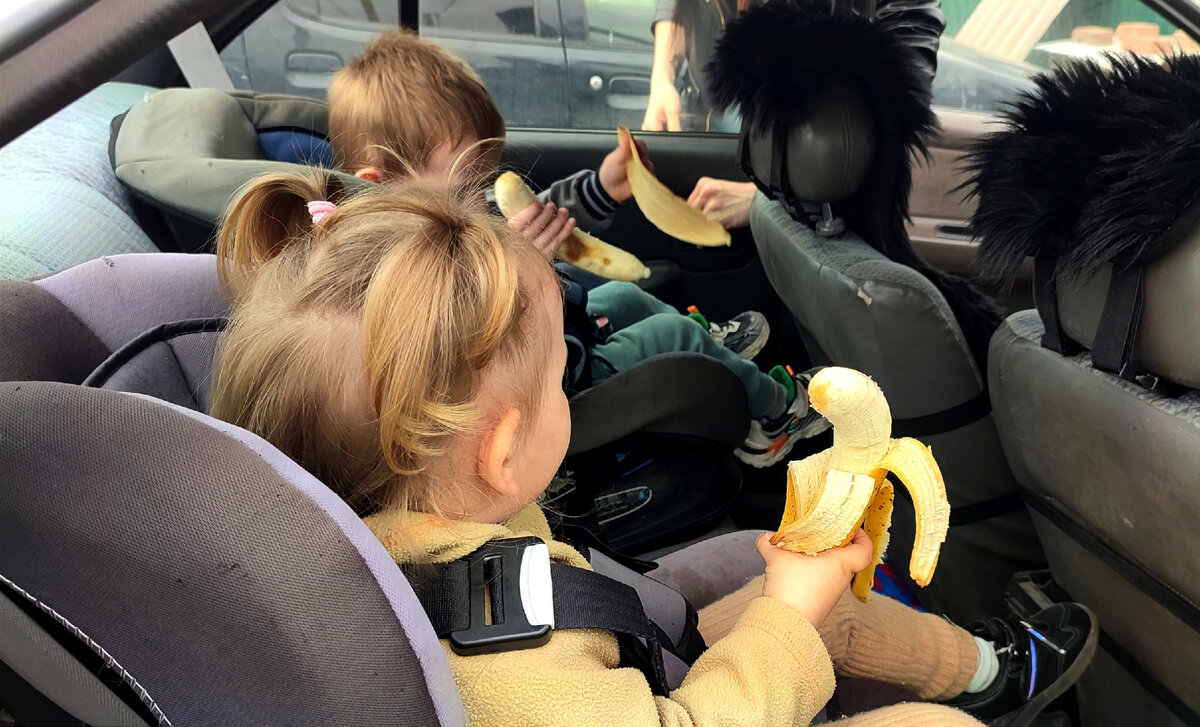 Внуки собираются домой