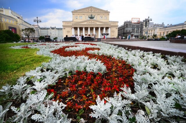    Фото:  АиФ/ Эдуард Кудрявицкий