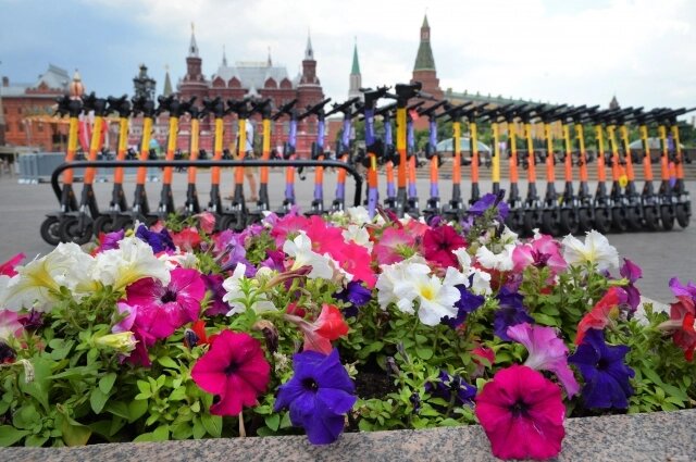    Фото:  АиФ/ Эдуард Кудрявицкий