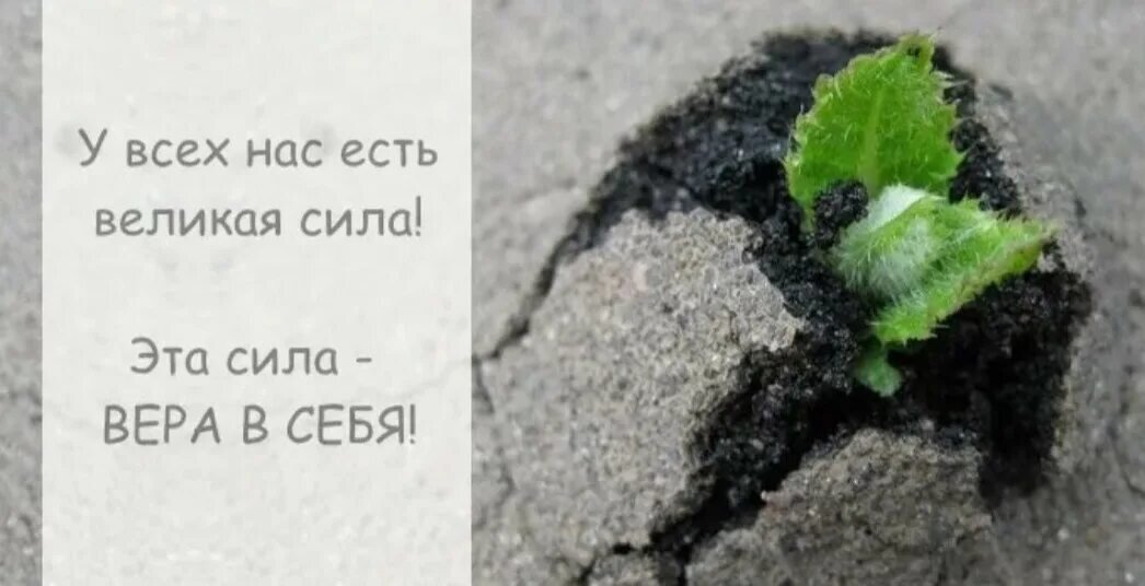 Стремление дать человеку веру в возможность