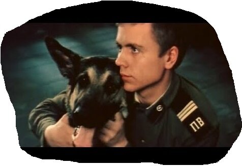 кадр из фильма "Пограничный пес Алый"