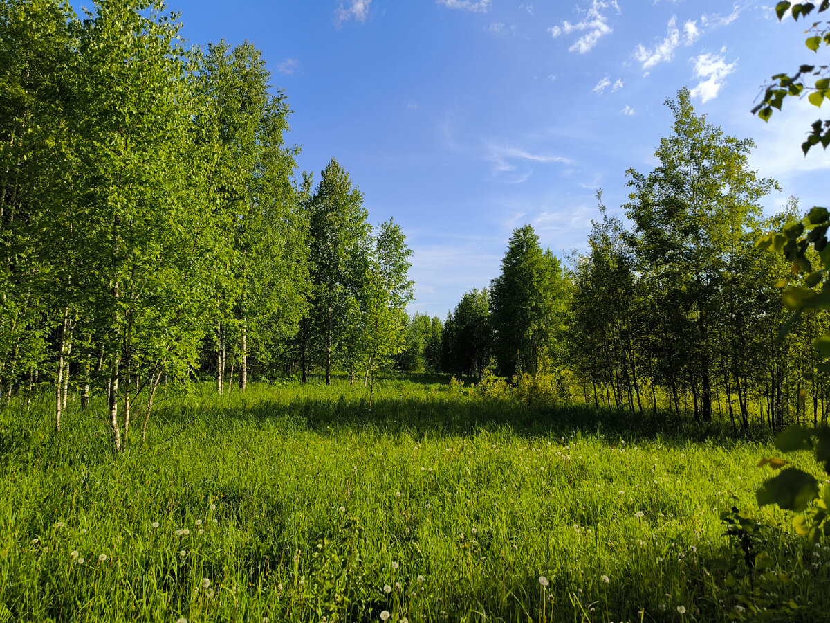 Лето! Тепло