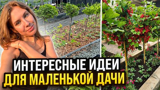 НЕТИПИЧНЫЙ ПЛОДОВЫЙ САД СО ШТАМБОВЫМИ РАСТЕНИЯМИ И КЛУБНИКОЙ