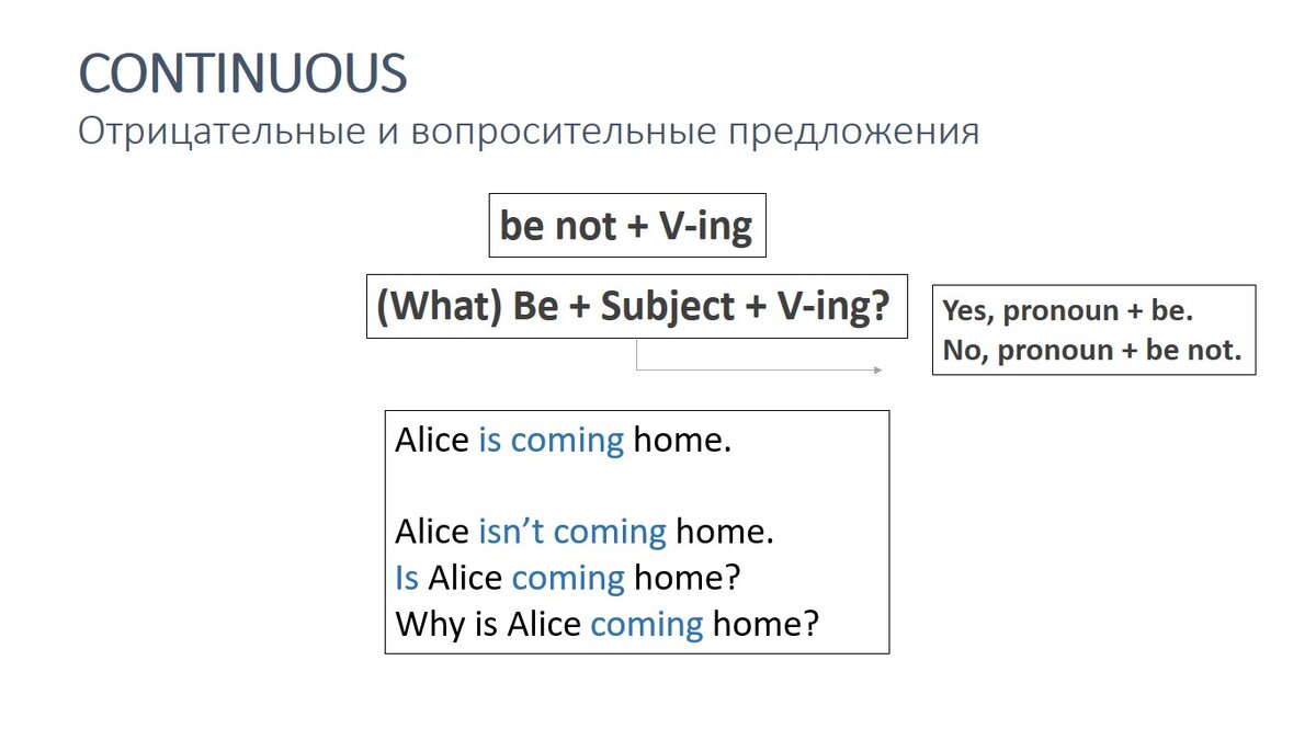 Negative & Interrogative Sentences