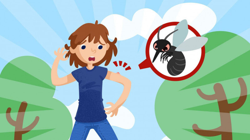     Комары. freepik.com/Freepik