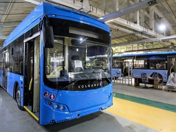 © Фото: ИД «Волгоградская правда» / архив