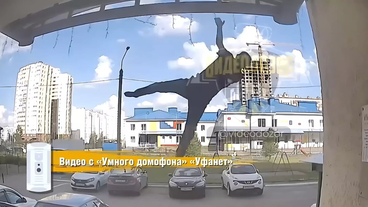     Источник: Видеодозор