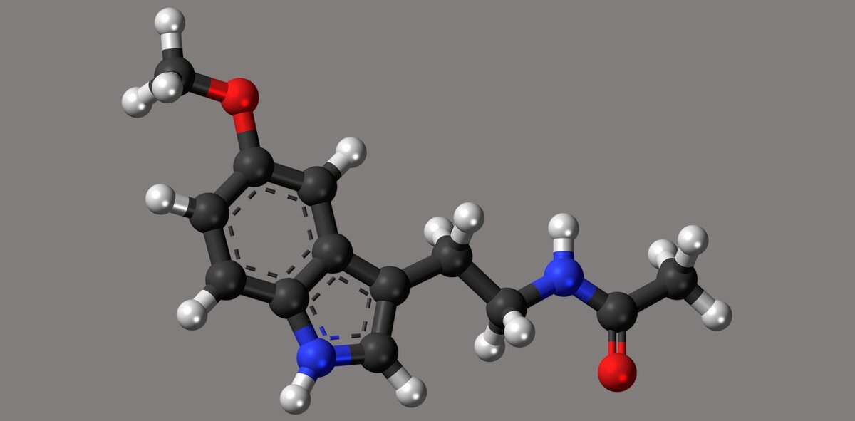 Молекула гормона мелатонина, контролирующего суточный цикл у животных и человека