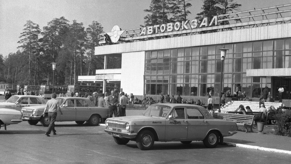 День города Тольятти: знакомимся с Поволжьем | Добро.Медиа | Дзен