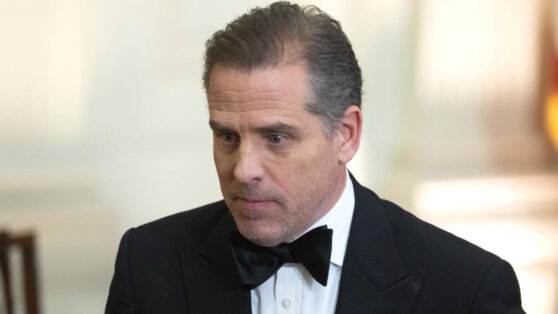    Илон Маск раскритиковал проступок сына Байдена Егор Гордеев