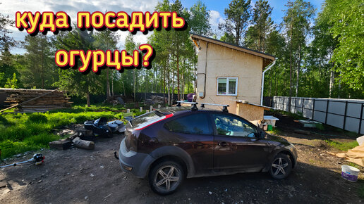 Жизнь за городом на севере/Куда посадить огурцы?приготовила нежные ,творожные кексы с чёрной смородиной.