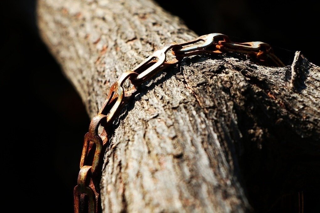 Свободный источник