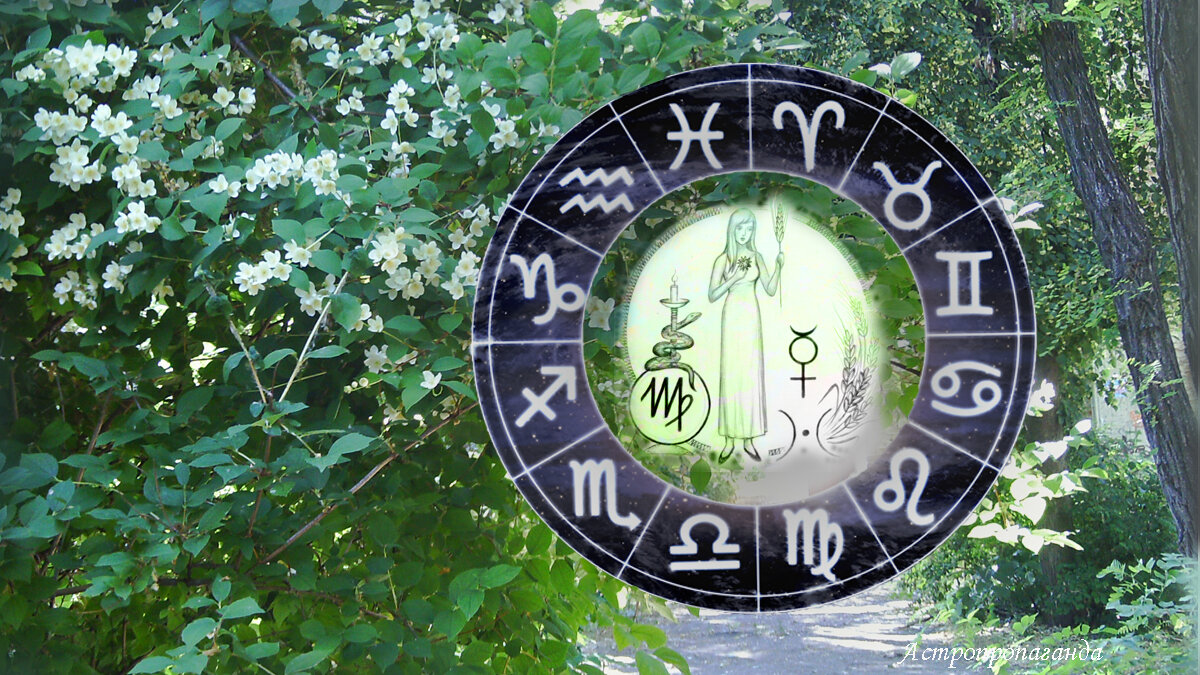 Гороскоп для Девы с 10 по 30 июня 2024. 