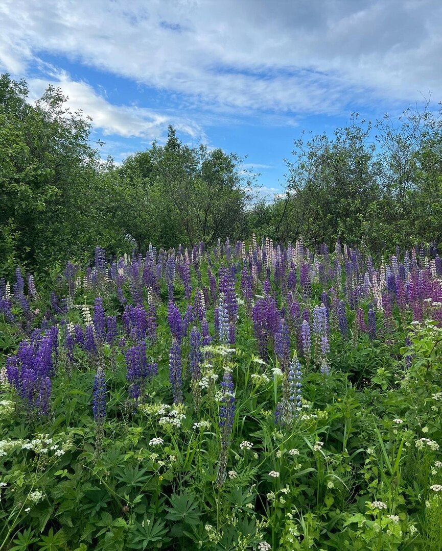 ваше удачное лето)