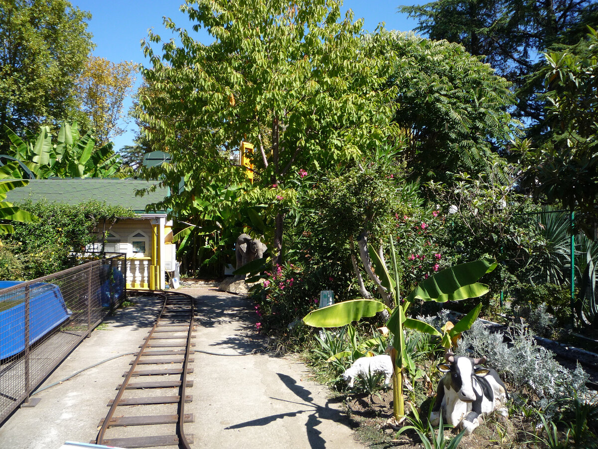 Парк Ривьера в Сочи