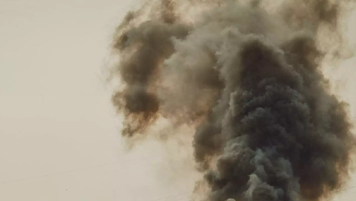     Источник: 1MI