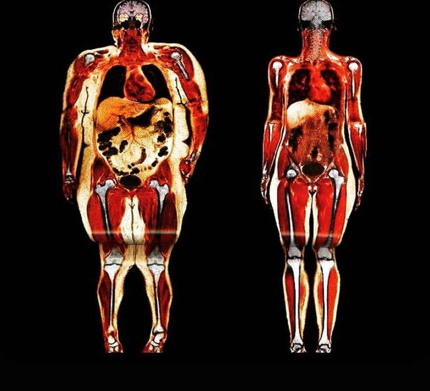 Изображение взято из интернета