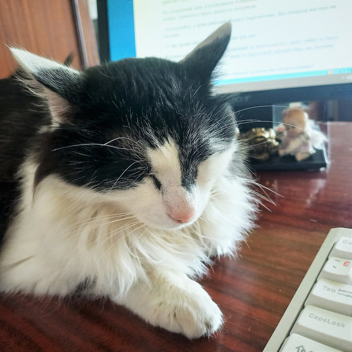 Кукла: "Проверка - дело серьёзное")