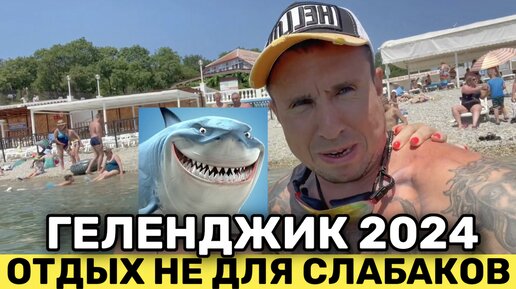 ГЕЛЕНДЖИК 2024 ЦЕНЫ Погода ЖИЛЬЕ | ГОЛУБАЯ БУХТА ОТДЫХ | НЕ для СЛАБАКОВ